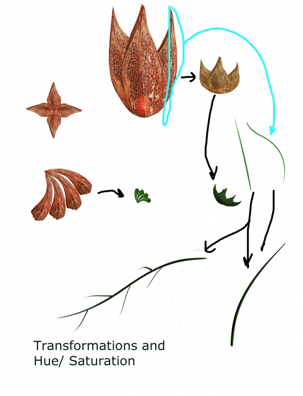 Creation of Still Life: Step 5